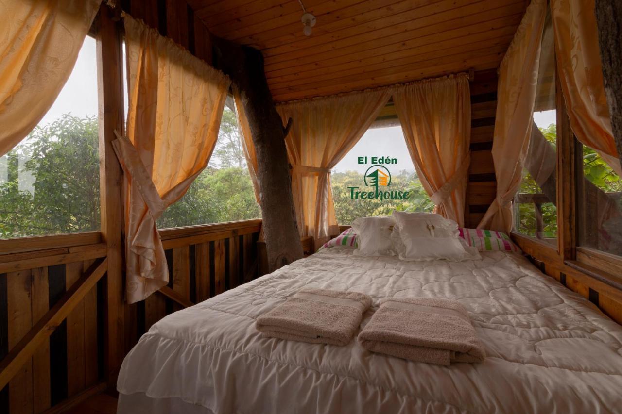 Вілла Eden Treehouse Міндо Екстер'єр фото