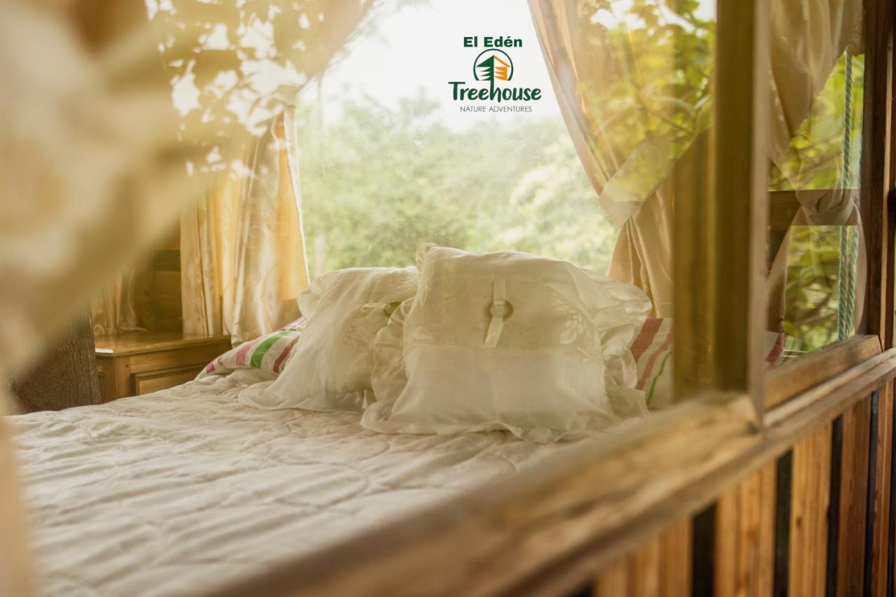 Вілла Eden Treehouse Міндо Екстер'єр фото