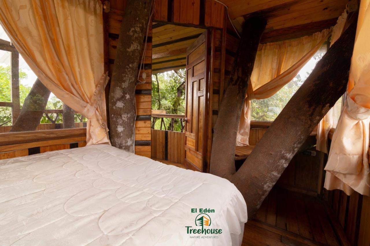 Вілла Eden Treehouse Міндо Екстер'єр фото