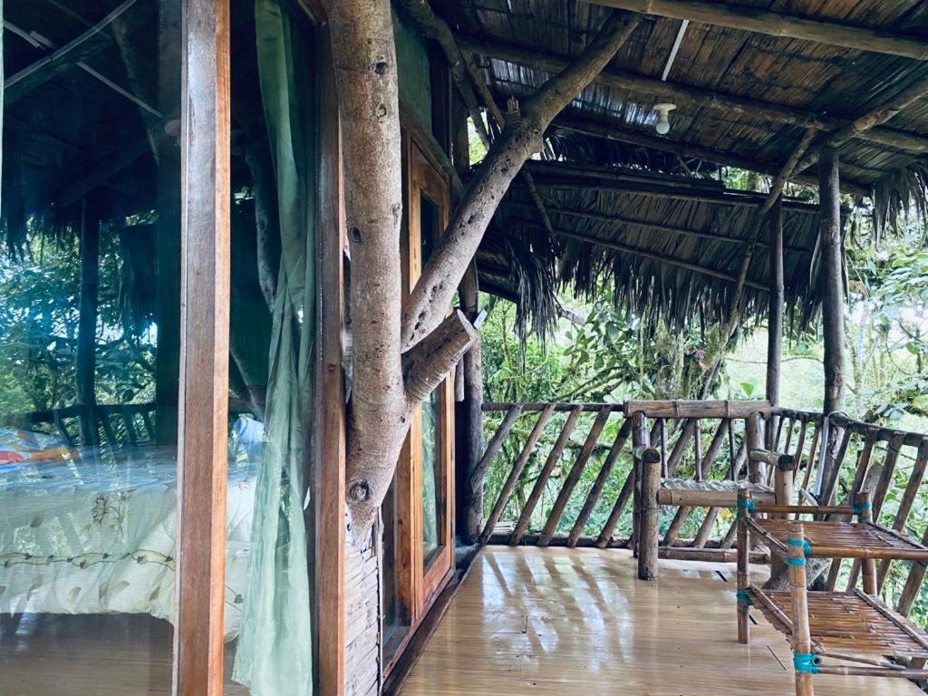 Вілла Eden Treehouse Міндо Екстер'єр фото