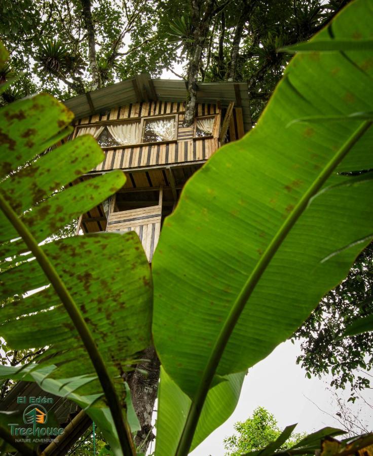 Вілла Eden Treehouse Міндо Екстер'єр фото