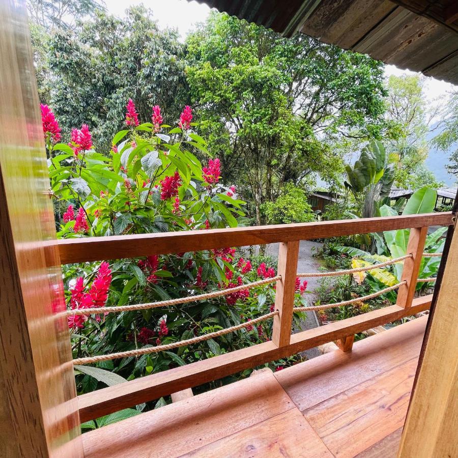 Вілла Eden Treehouse Міндо Екстер'єр фото
