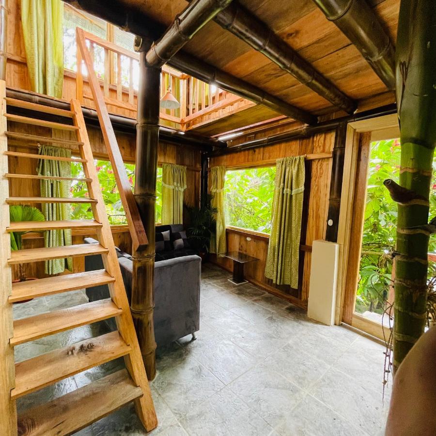 Вілла Eden Treehouse Міндо Екстер'єр фото