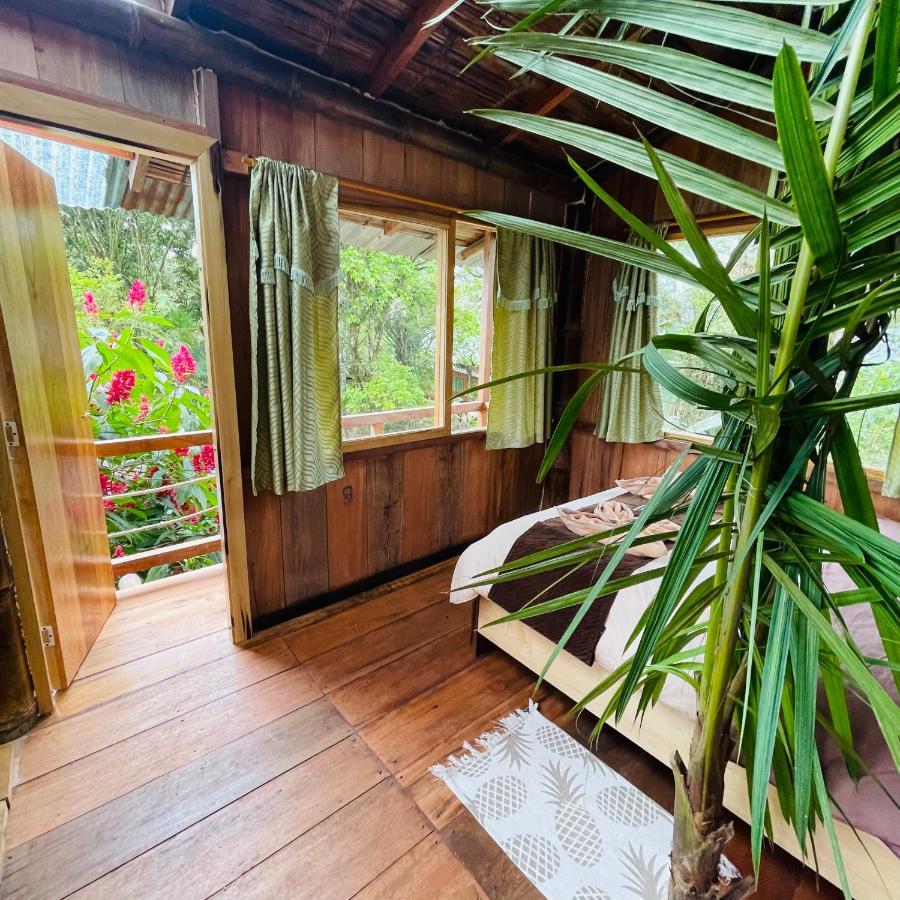 Вілла Eden Treehouse Міндо Екстер'єр фото