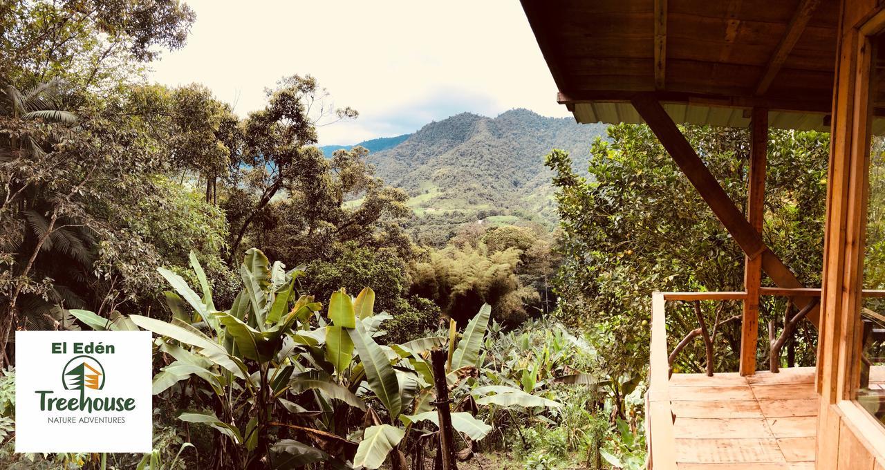 Вілла Eden Treehouse Міндо Екстер'єр фото