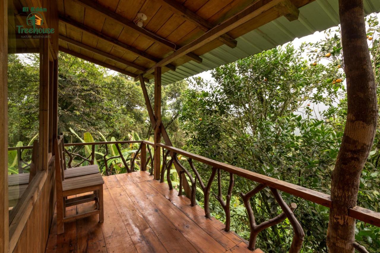 Вілла Eden Treehouse Міндо Екстер'єр фото