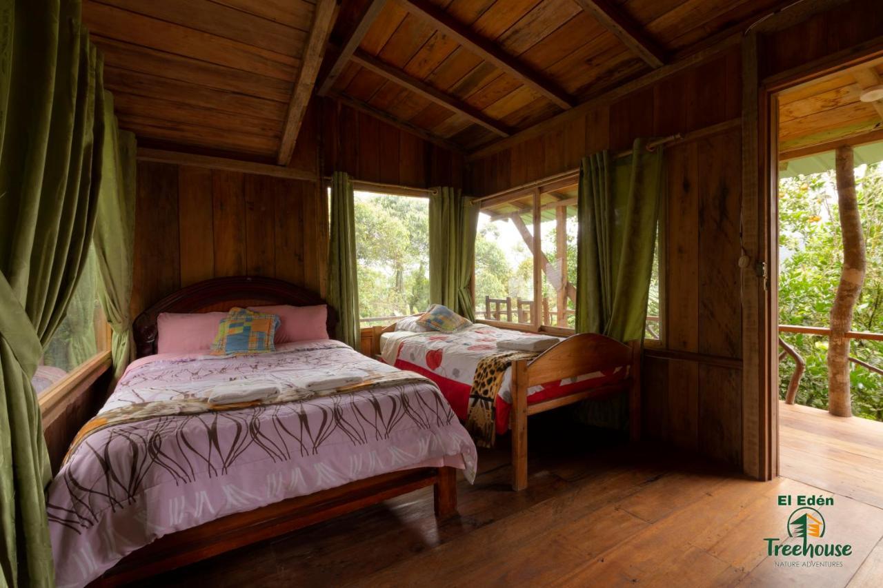 Вілла Eden Treehouse Міндо Екстер'єр фото