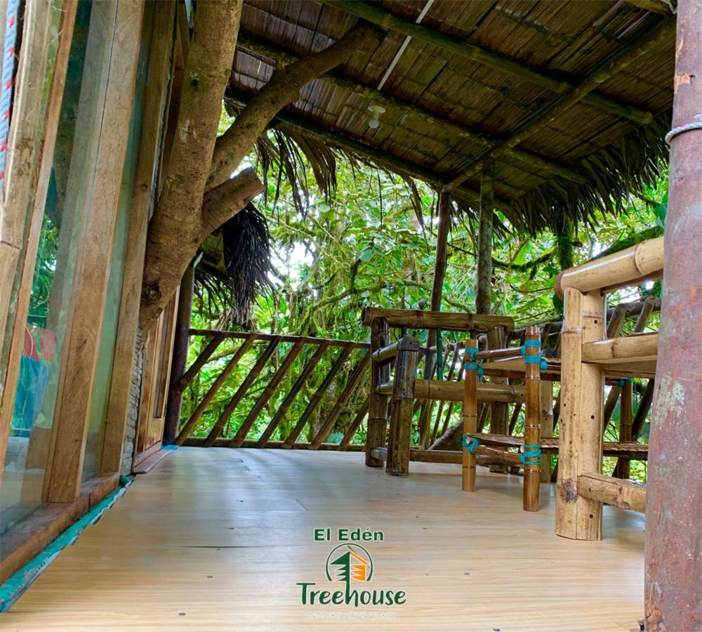 Вілла Eden Treehouse Міндо Екстер'єр фото