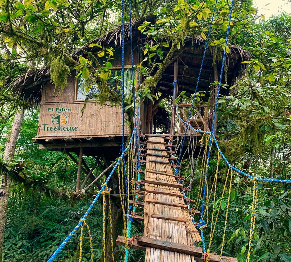 Вілла Eden Treehouse Міндо Екстер'єр фото